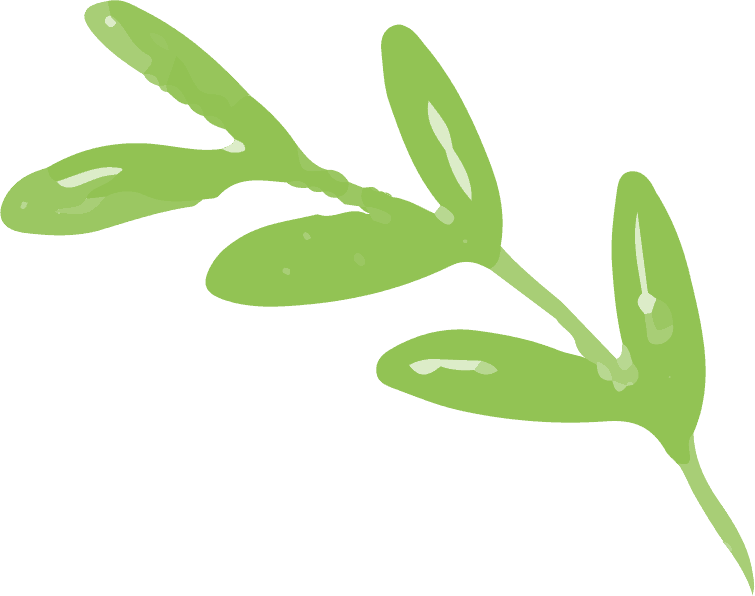leaves-free-img